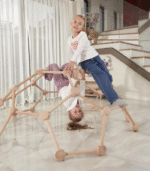 Spider Web Dome - Image 2